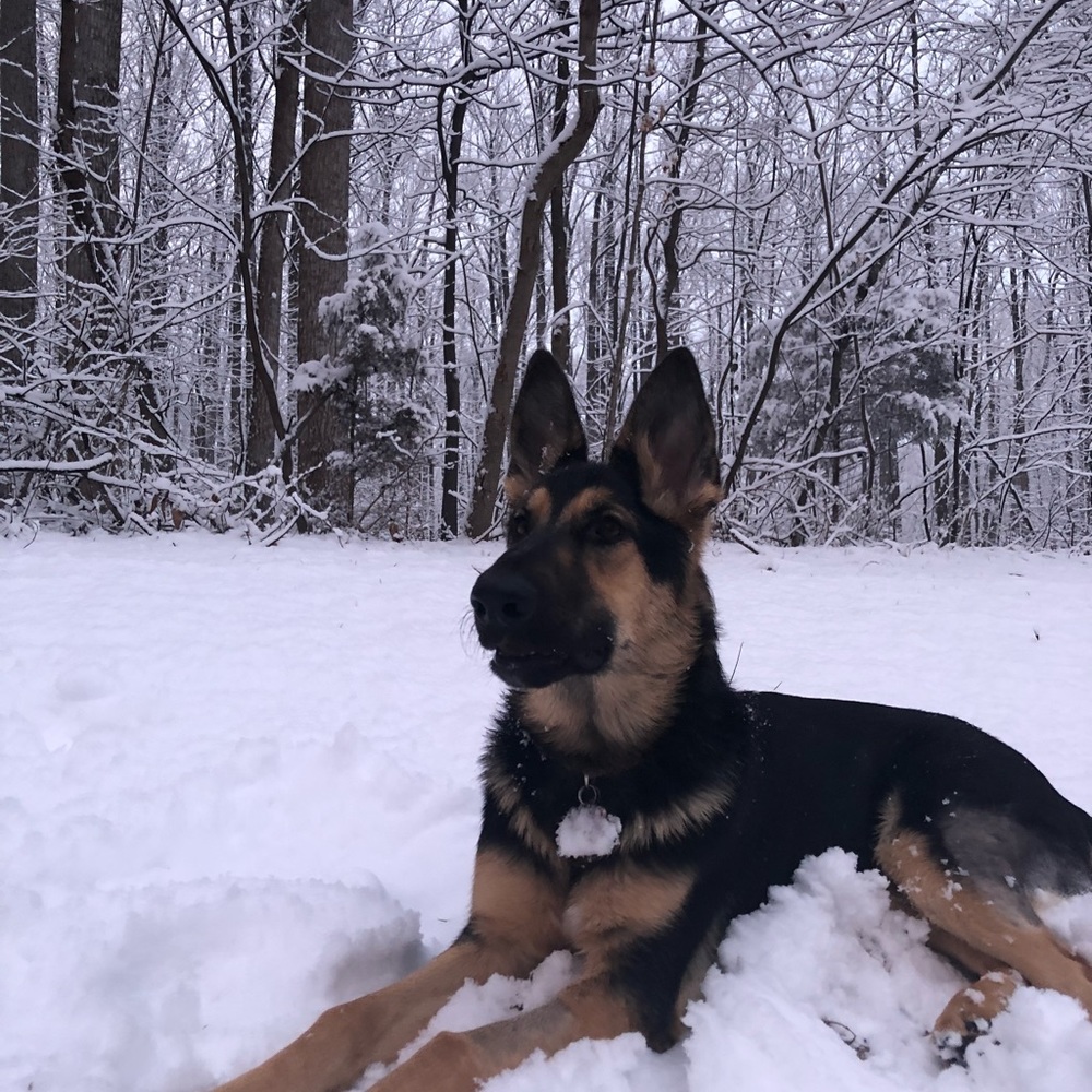 Meet your Posher, Jeanne